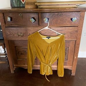 JCrew Velvet top